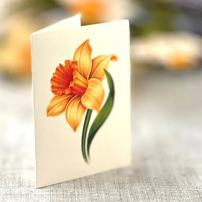 Strauß aus unvergänglichen Blumen